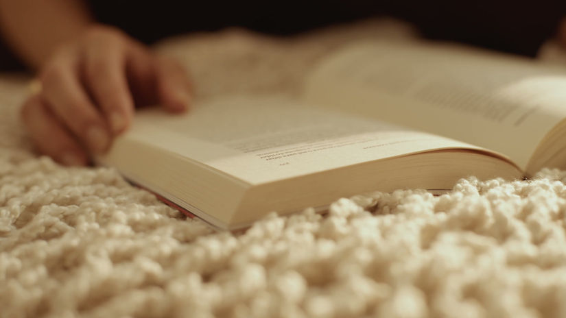 Camicado Outono & Inverno